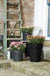 green basics top planter hoog 35cm living black